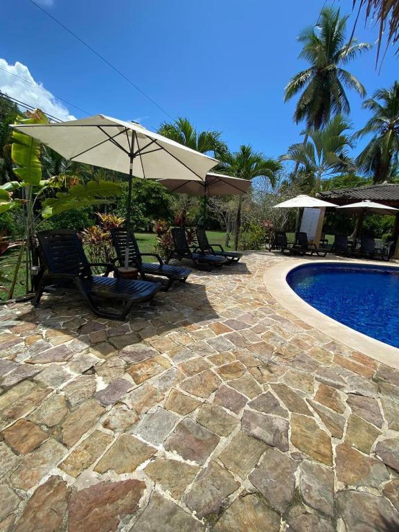 Hotel Delfin Playa Bejuco photo