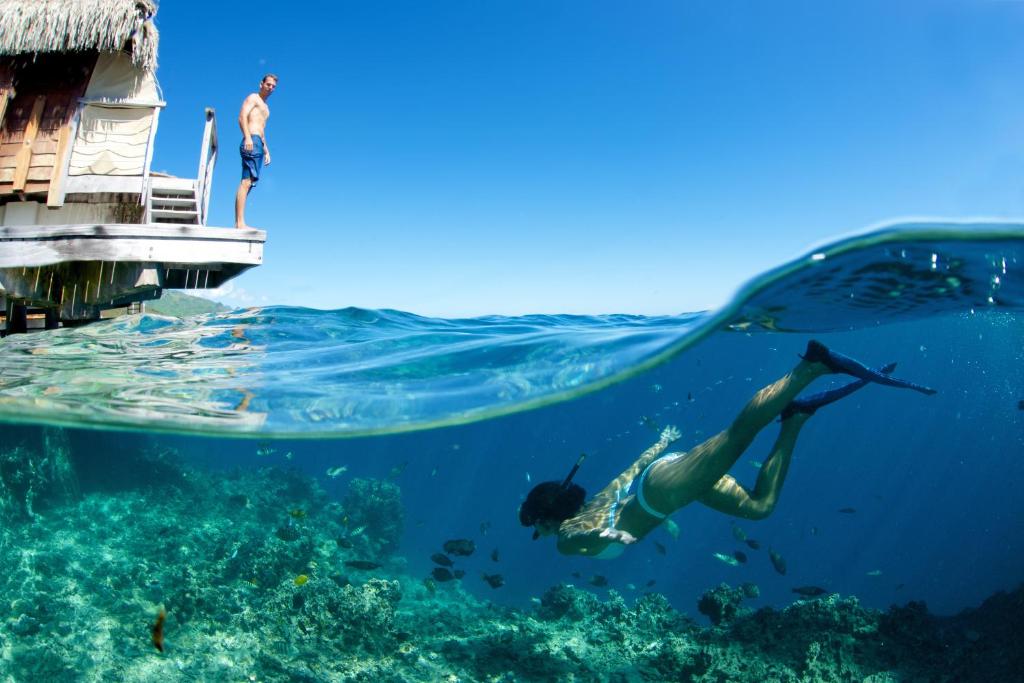 スポーツ/アクティビティ