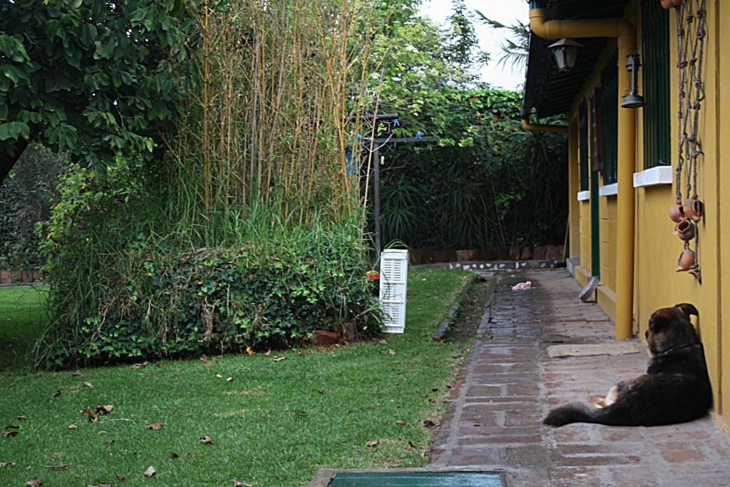 Hostal Saint Mary´s Tababela photo