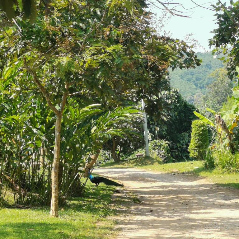Surrounding environment
