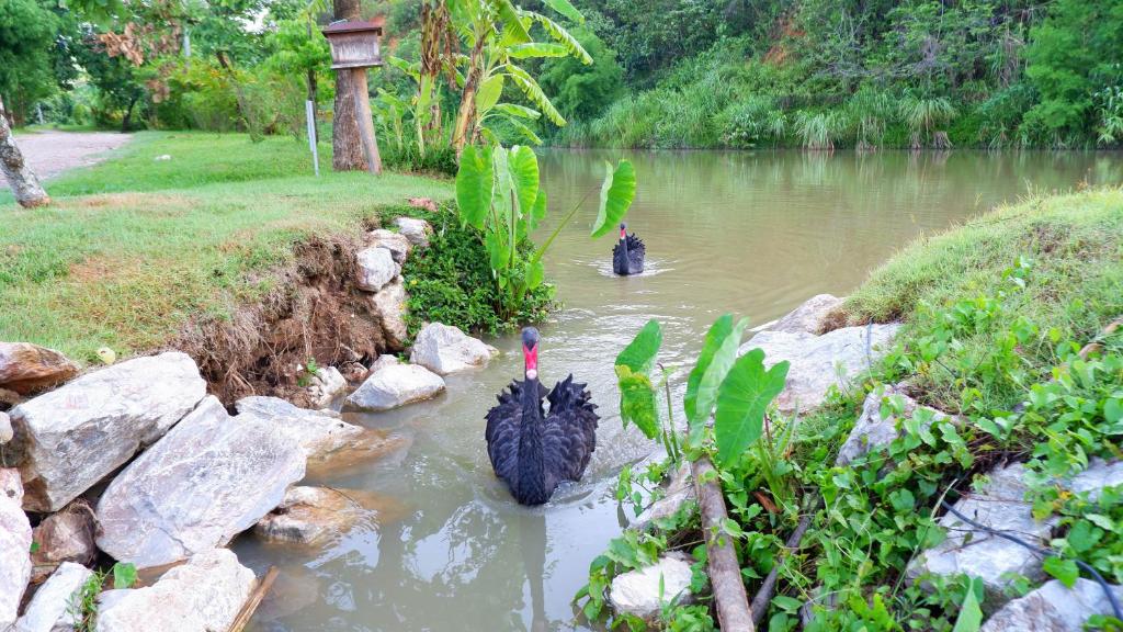 Surrounding environment