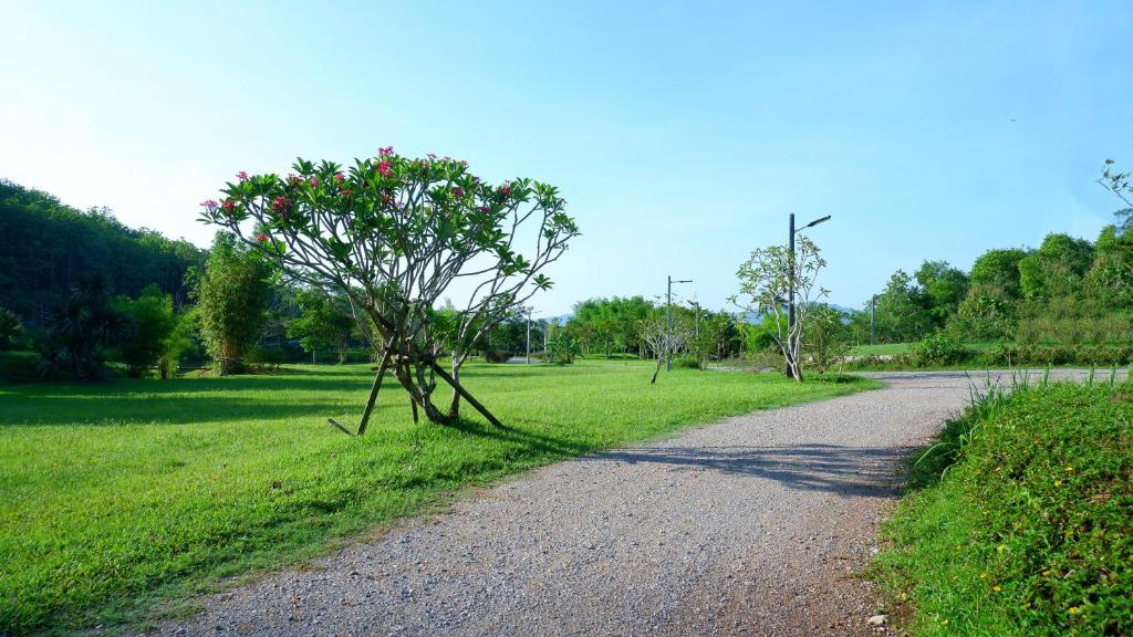 Surrounding environment