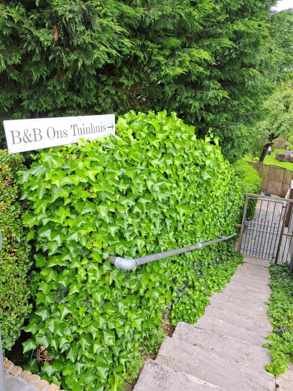 Ons tuinhuis photo