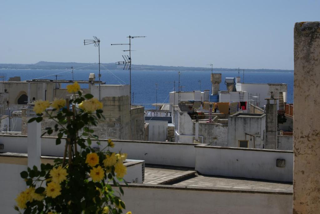 Surrounding environment