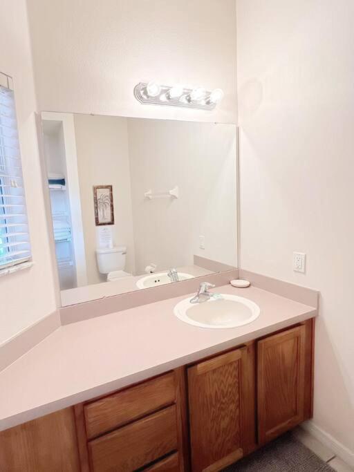 Gone 2 Florida Vacation Homes photo