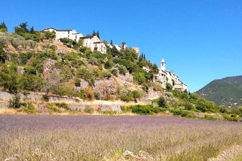 Location provence ventoux sault