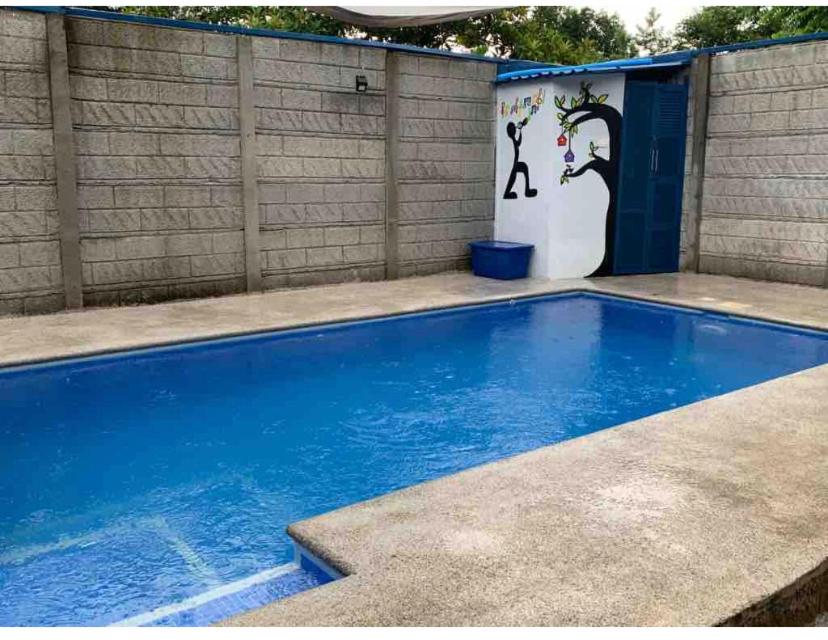 Ara Macaw Beach House! photo