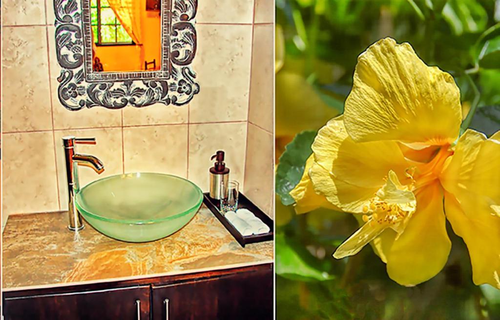 Boquete Garden Inn photo