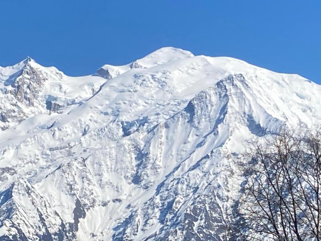 Les Edelweiss Mont-Blanc - Gîte Classé 3 Etoiles - 3