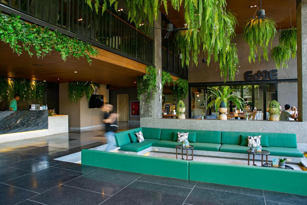 ザ シルバー パーム ウェルネス リゾート (The Silver Palm Wellness Resort) 外観