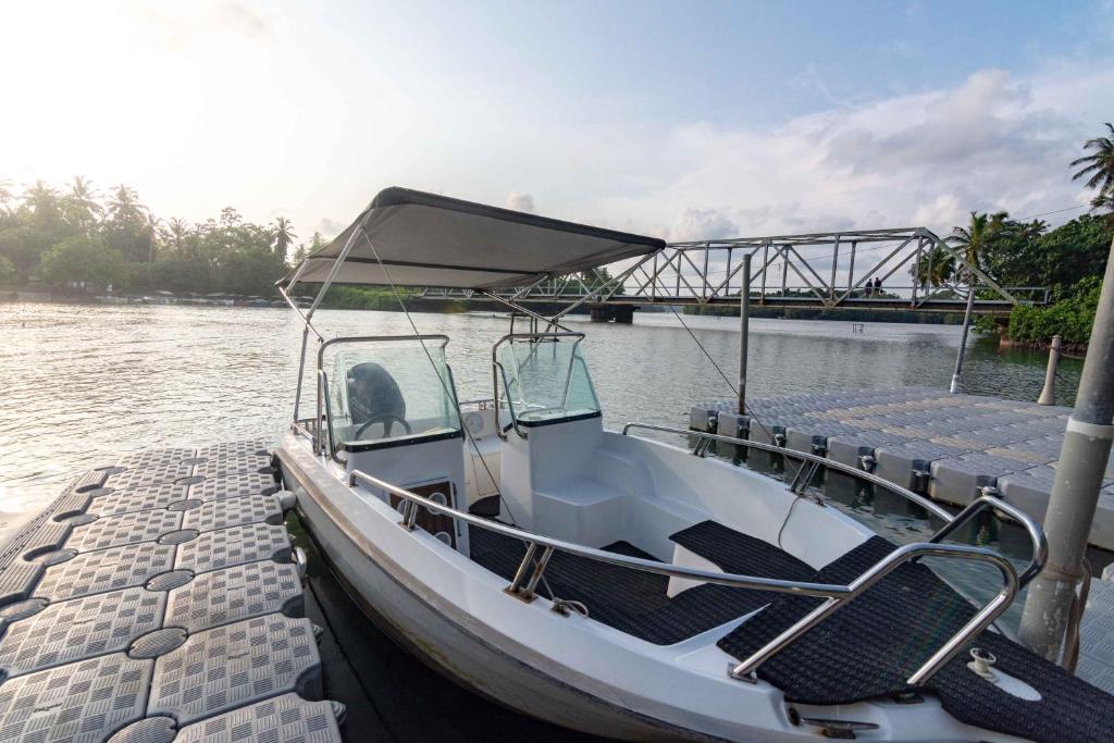 アクティビティ