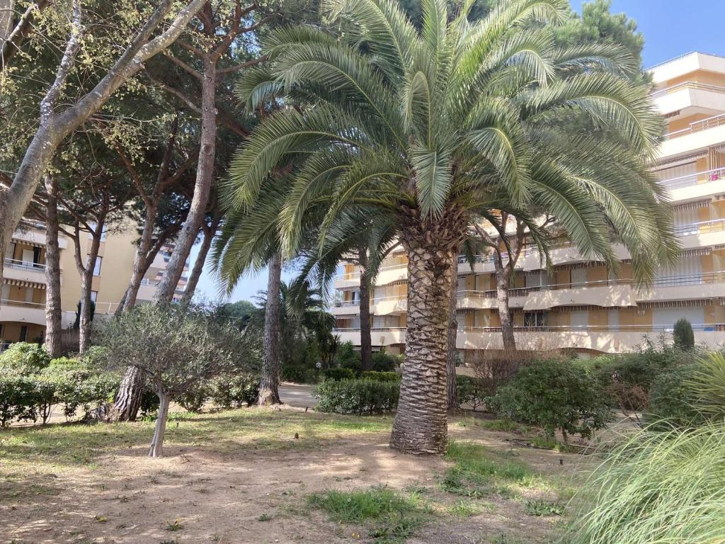 Appartement 2 pièces à Fréjus avec piscine, parking et à 300m des commerces - FR-1-226A-145 - 3