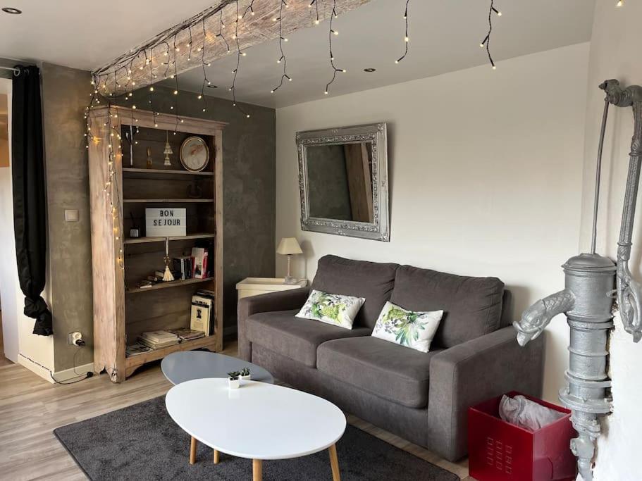 Appartement de caractère, Irigny