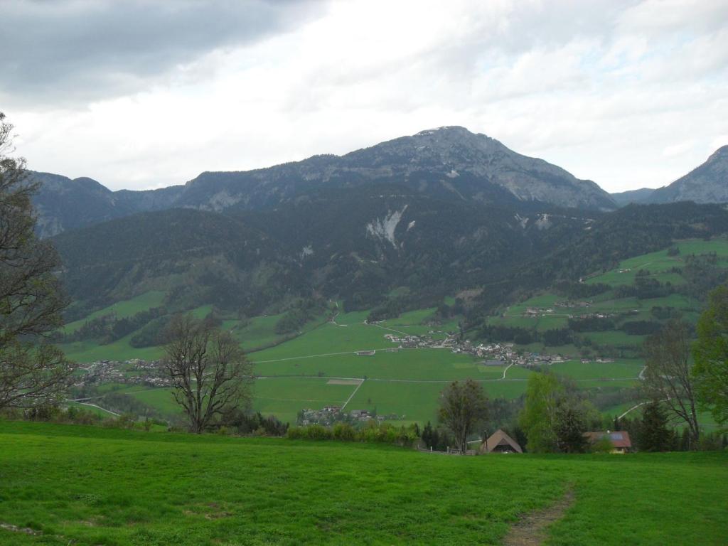 Rainzhof - 5