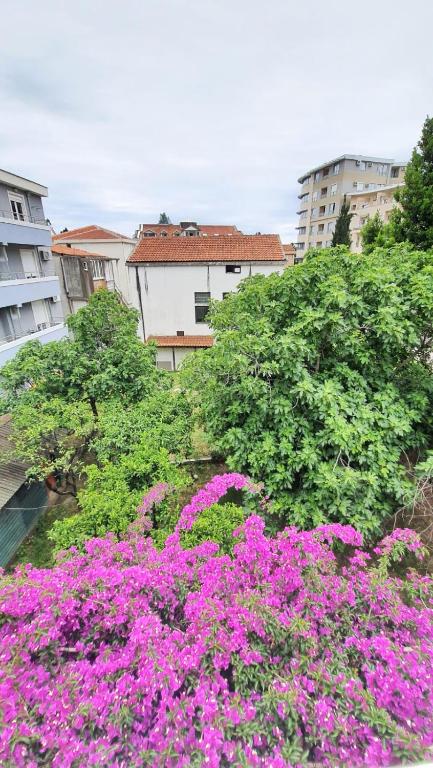 Vojinovic Apartments - 3