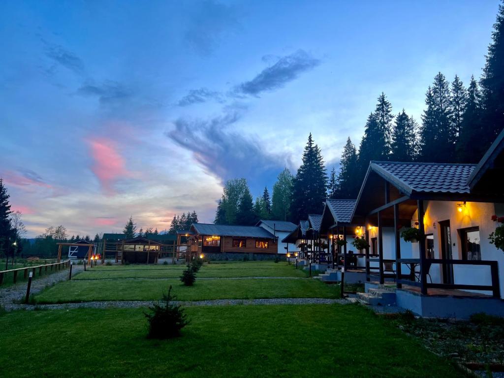 CLUBUL DACILOR, Comandău