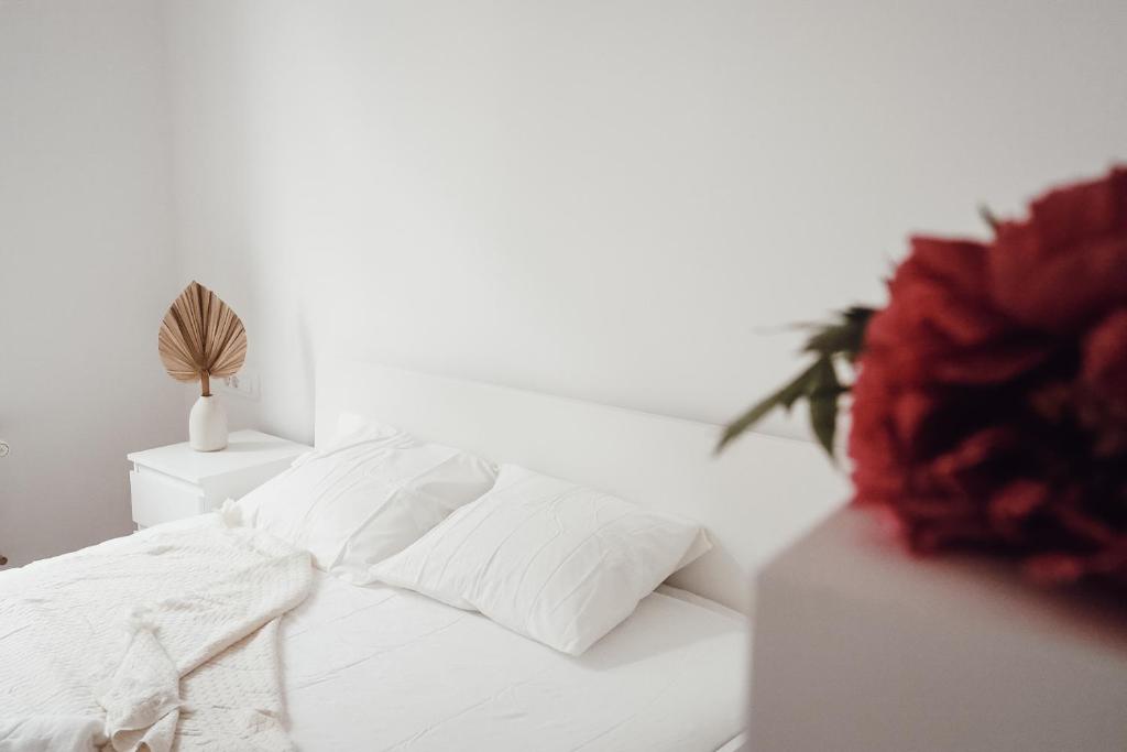 Central Apartment Maister photo