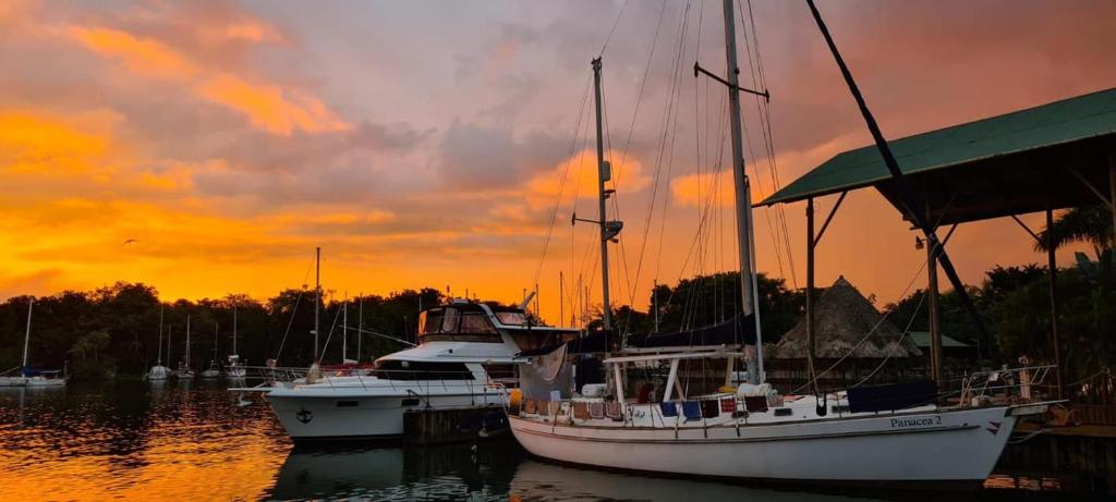 Mar Marine Yacht Club photo