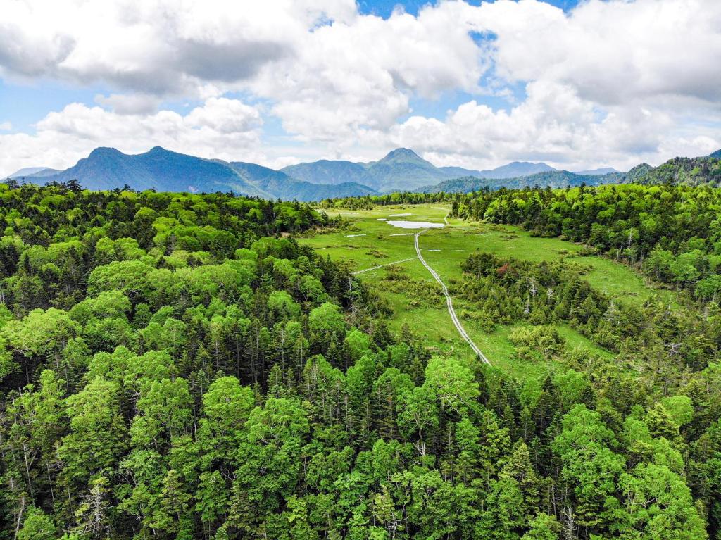 Surrounding environment