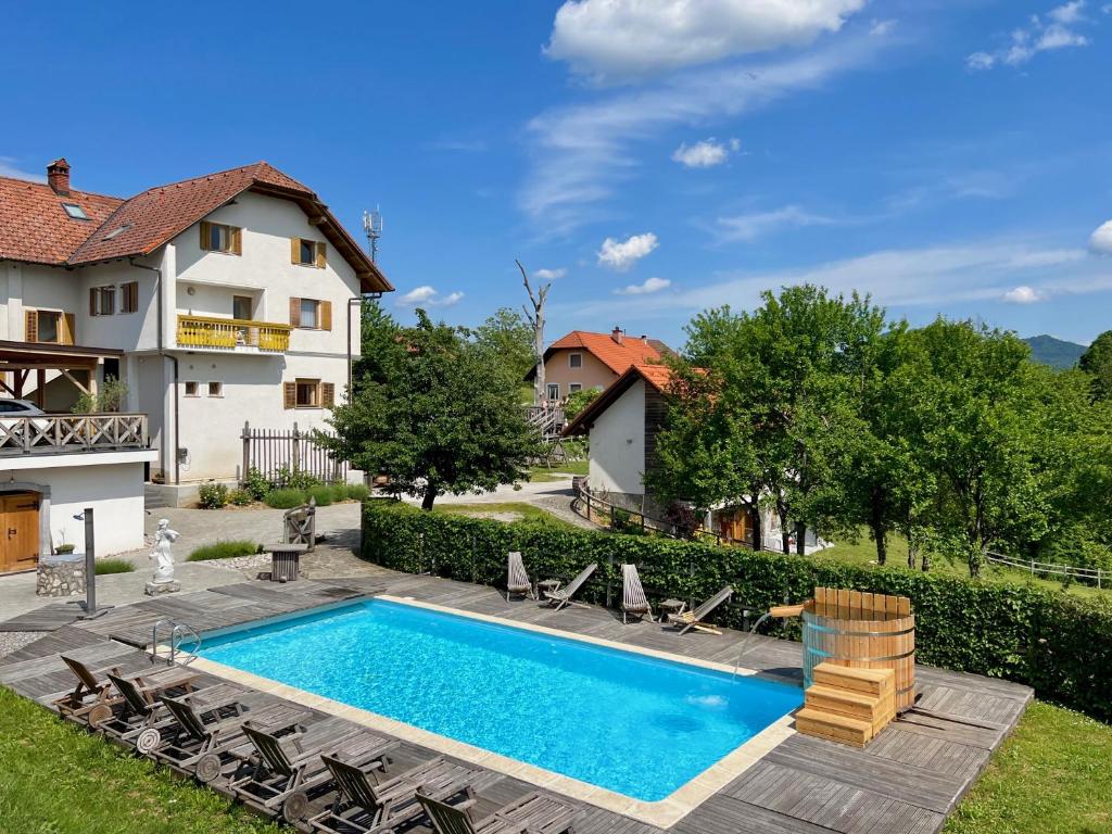 Guest house Domacija Krnc photo