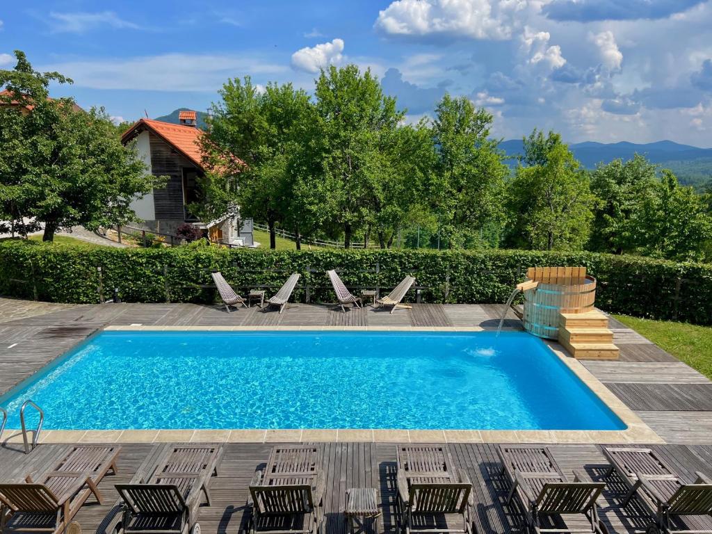 Guest house Domacija Krnc photo