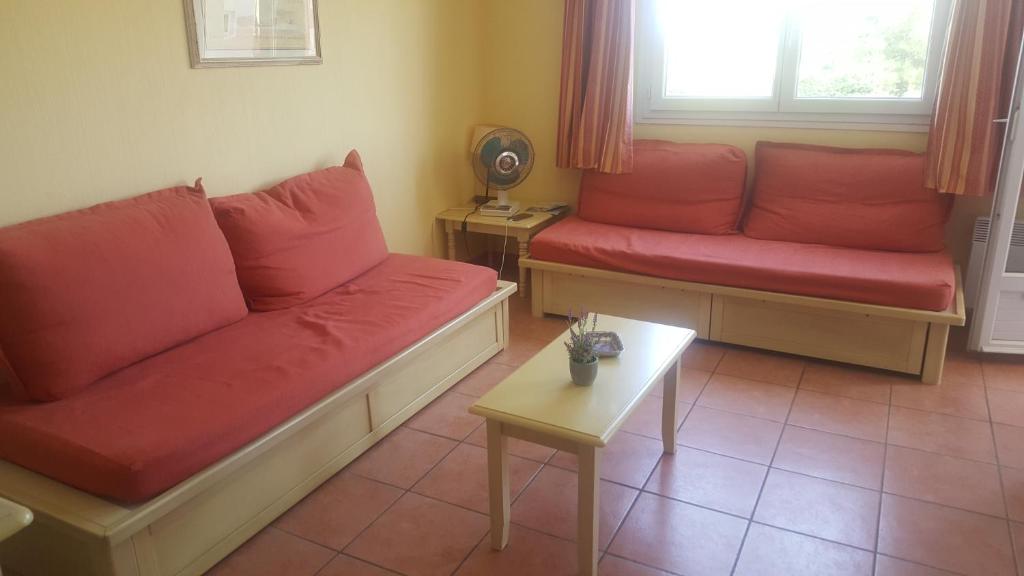 CHARMANT APPARTEMENT T2 VUE SUR PISCINE - 5