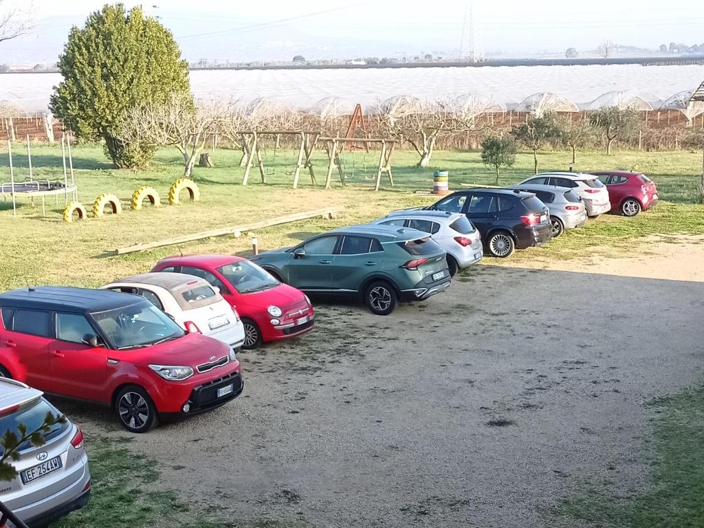 Il Casale di Giulia di Aprilia photo