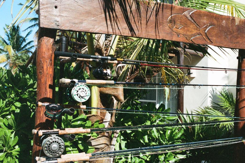 Recreational facilities