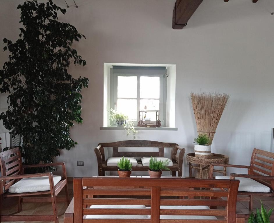 Il Casale di Giulia di Aprilia photo