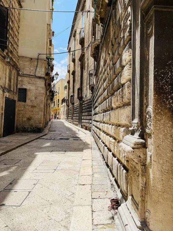 BiVù - 3
