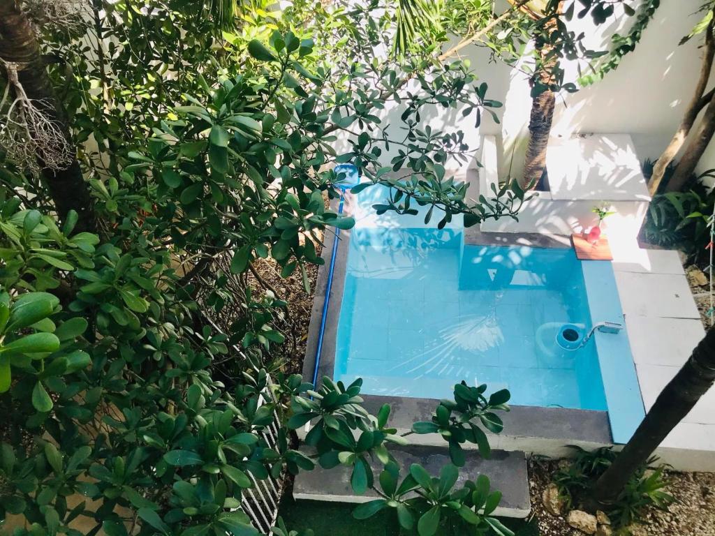 Cozy Tiny Studio AcasadiAlexPlayadelCarmen - 3