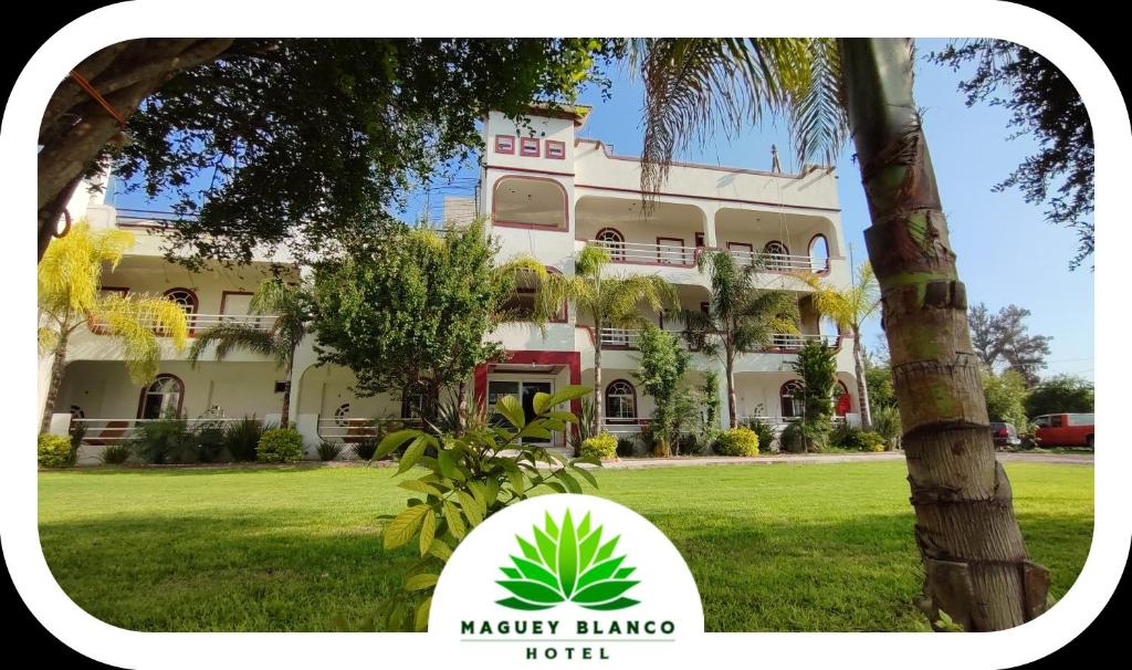 Hotel Maguey blanco — Hotel in Ixmiquilpan