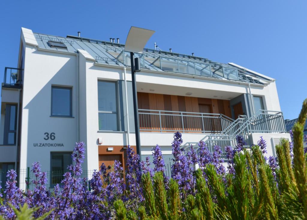 Mario Mechelinki ll, Mechelinki