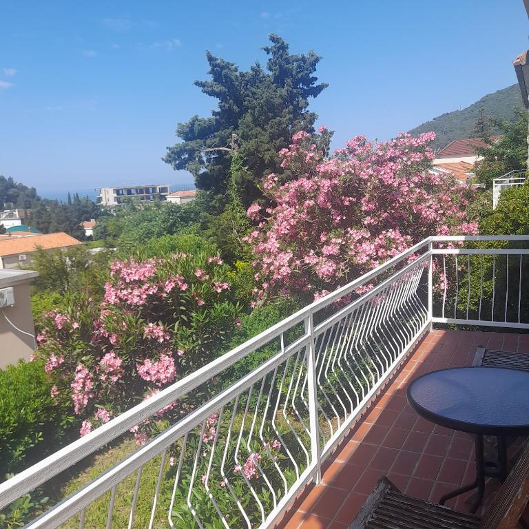 Mir, Petrovac na Moru