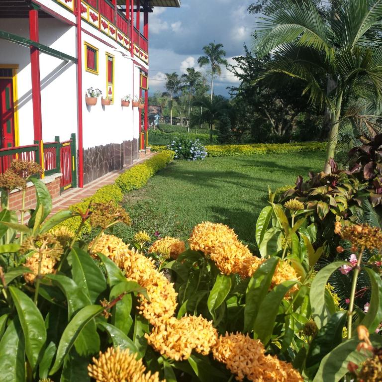 Surrounding environment
