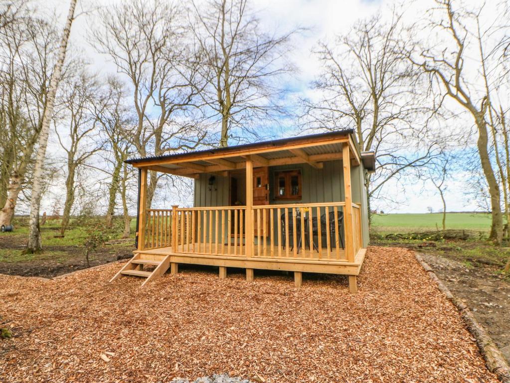 Bracken Fern, Richmond