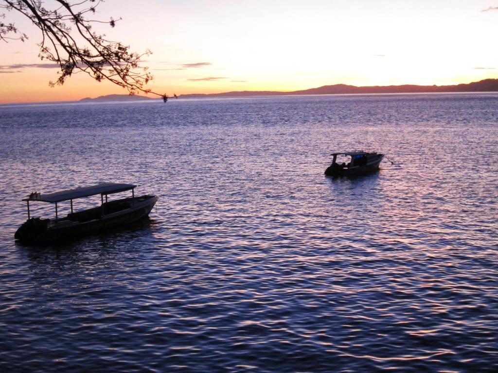Raja Laut Dive Resort Bunaken photo