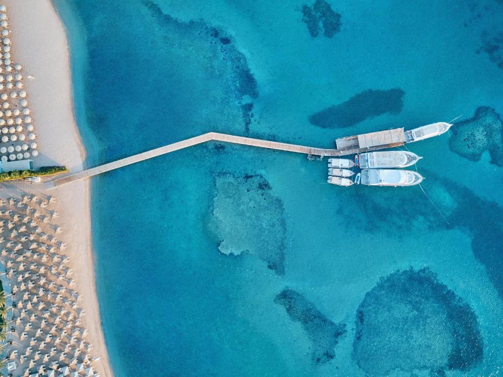 JAZ Aquaviva - All inclusive — Makadi Bay, Red Sea