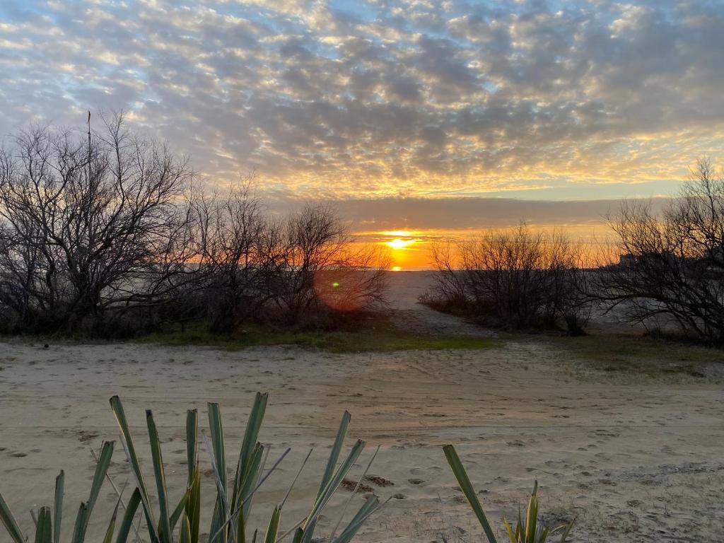 Surrounding environment