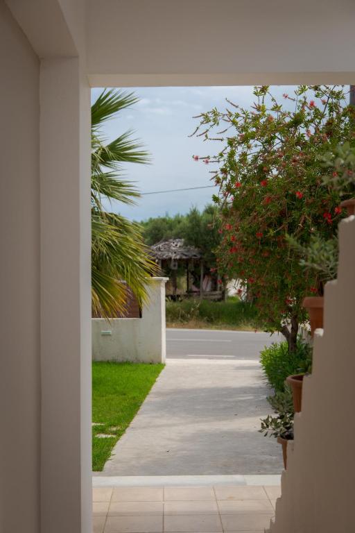 Tropical Apartments photo