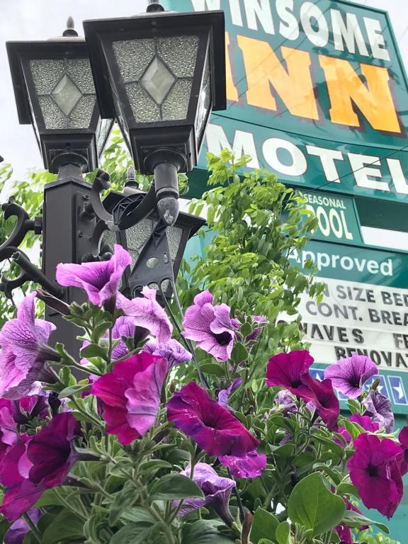 Winsome Inn — Hotel in Saint Stephen (NB)