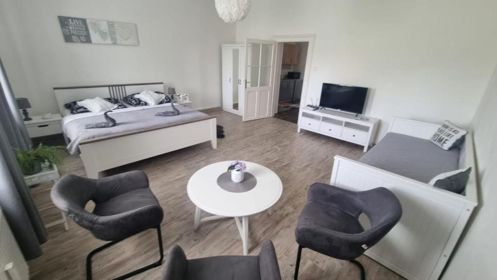 Černý Tulipán - Apartmán 4, Plzeň