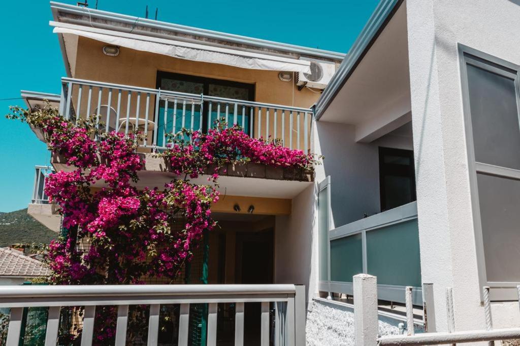 Ankica &amp; Anamarija Apartments — Hotel in Neum