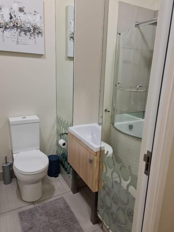 Modern One Bedroom Apartment in Rivonia photo