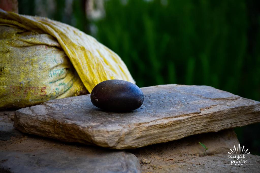 Hotellet från utsidan