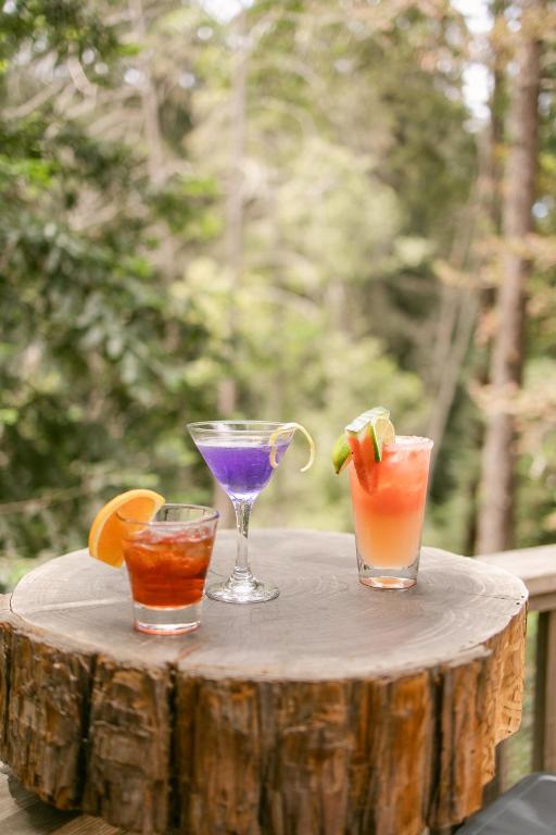 Fernwood Resort photo