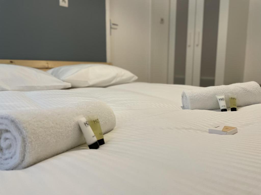 Saphir, Hyper centre ville au calme au fond d'une impasse - 3