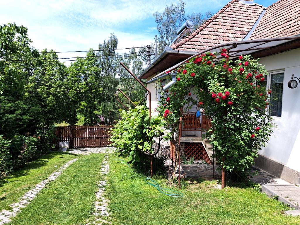 Casa de vacanta Zsenik Vendeghaz — Hotel in Sovata