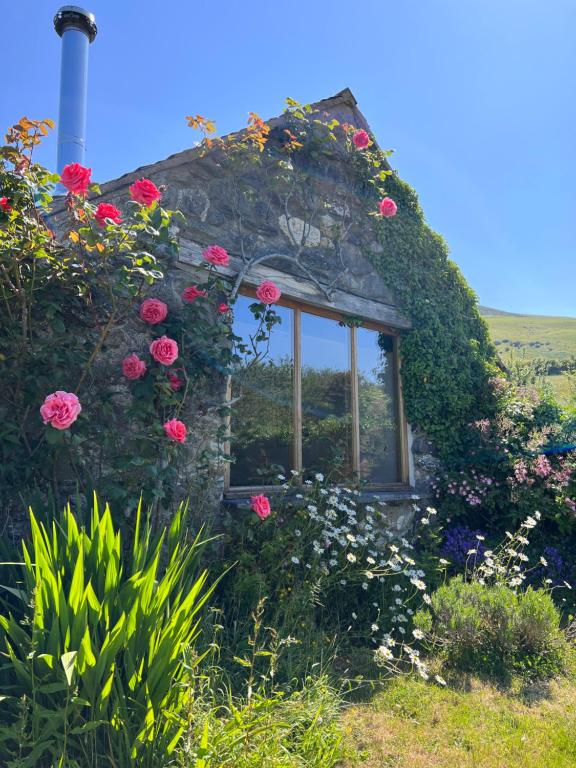 Romantic Snowdonia Cottage, Bryn-Crug photo 8