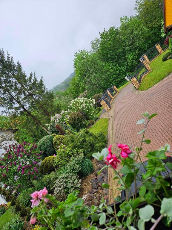 DOMEK NA BASZCIE klimatyzowany photo
